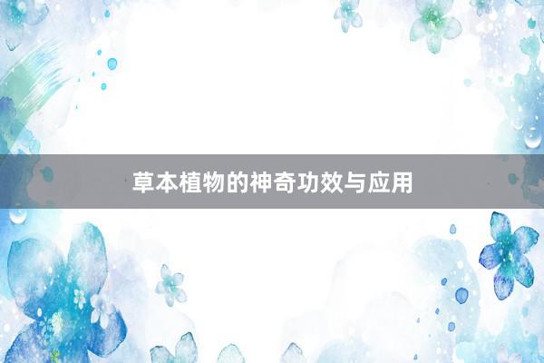 草本植物的神奇功效与应用
