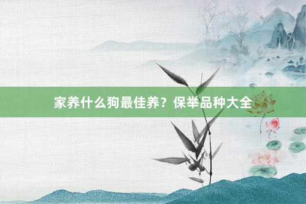 家养什么狗最佳养？保举品种大全