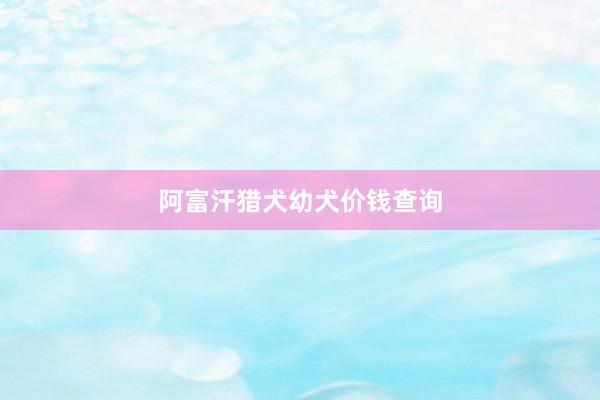 阿富汗猎犬幼犬价钱查询
