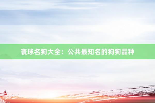 寰球名狗大全：公共最知名的狗狗品种